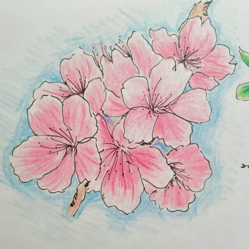 李亮璇 - 自行練習