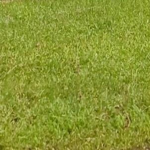 提供剪片apple服務的專家.net 軟體工程師