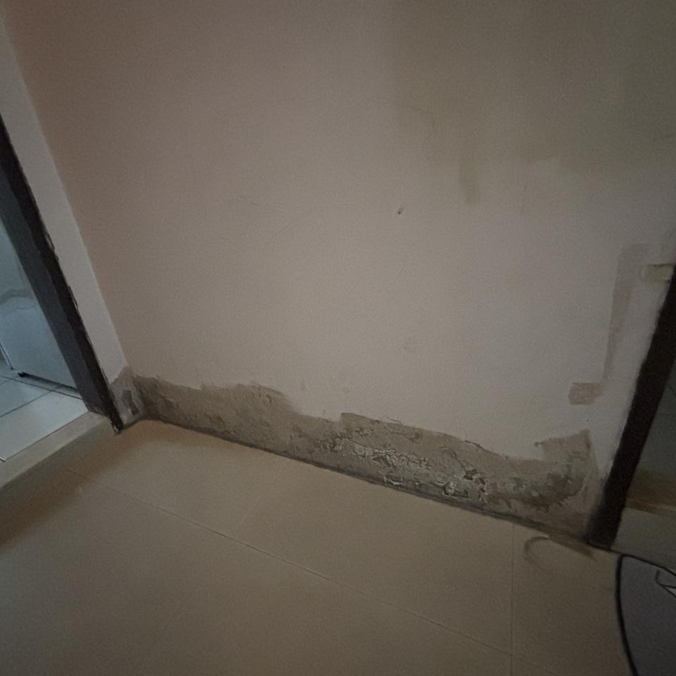 壁癌處理案件圖片