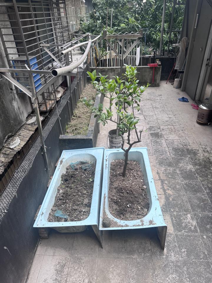 搬家案件圖片 搬家案件圖片