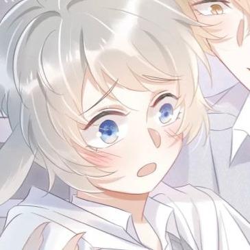 提供沙發套服務的專家彌沙銀藍