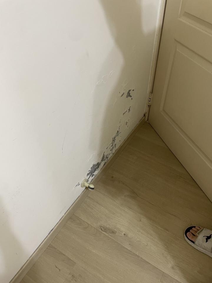 抓漏案件圖片