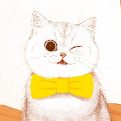 提供簡報製作服務的專家頁光/簡報設計