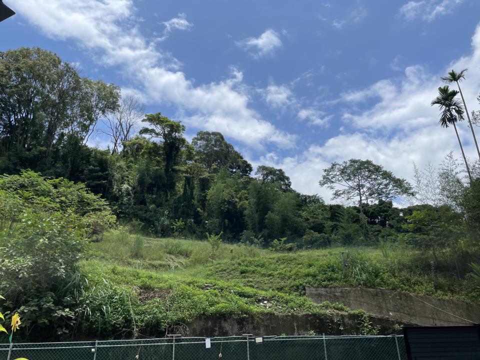 園藝維護案件圖片 園藝維護案件圖片