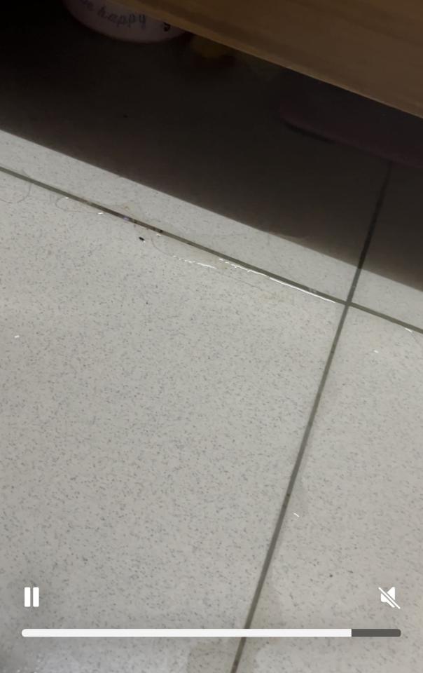 漏水處理案件圖片 漏水處理案件圖片