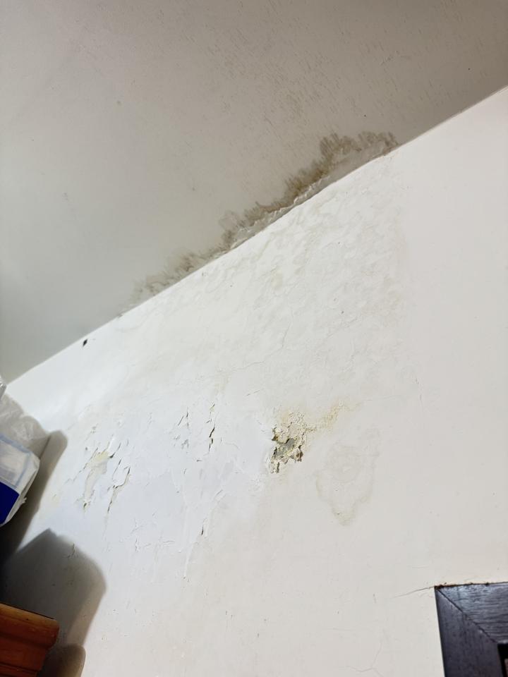 抓漏案件圖片 抓漏案件圖片