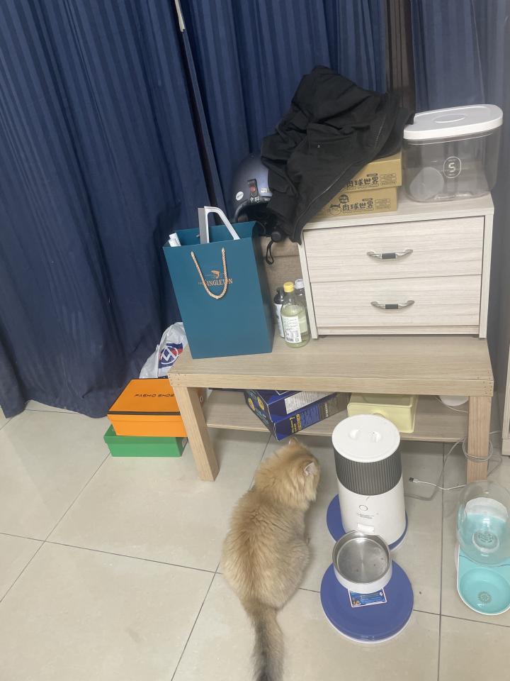 搬家案件圖片