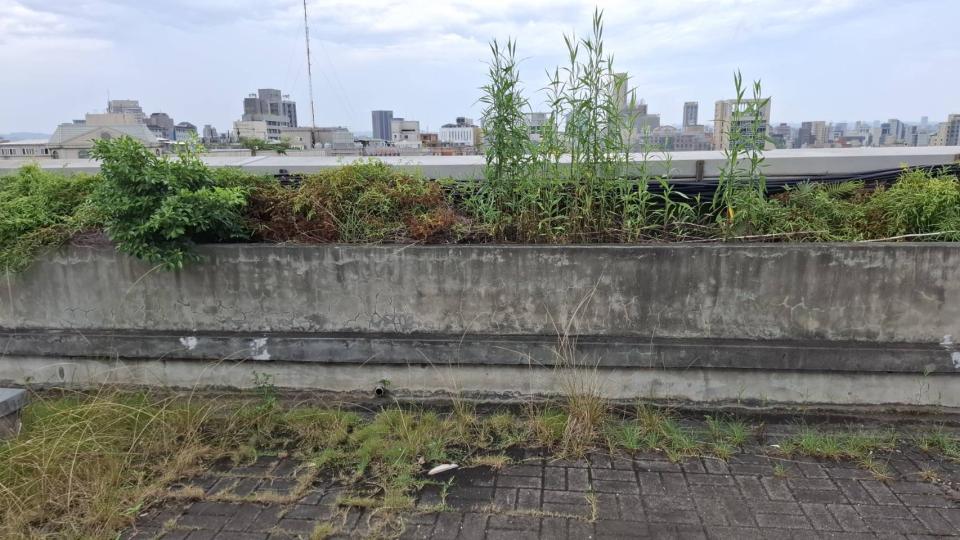 園藝維護案件圖片 園藝維護案件圖片