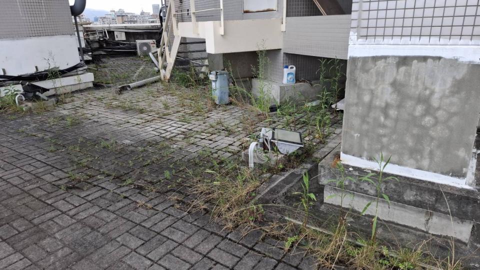園藝維護案件圖片 園藝維護案件圖片