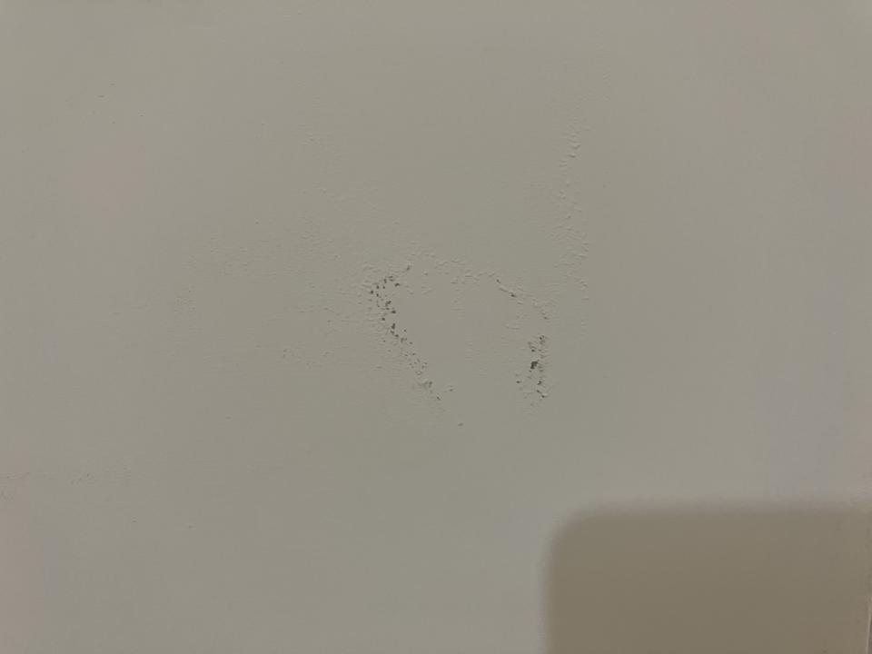 壁癌處理案件圖片 壁癌處理案件圖片