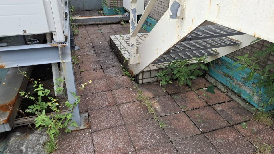 園藝維護案件圖片 園藝維護案件圖片