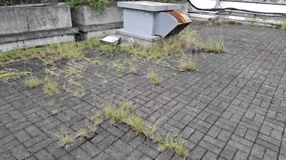 園藝維護案件圖片 園藝維護案件圖片