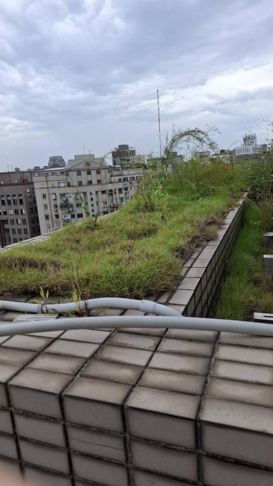 園藝維護案件圖片 園藝維護案件圖片
