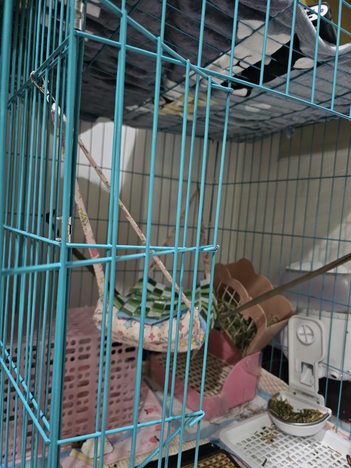 大型垃圾回收案件圖片