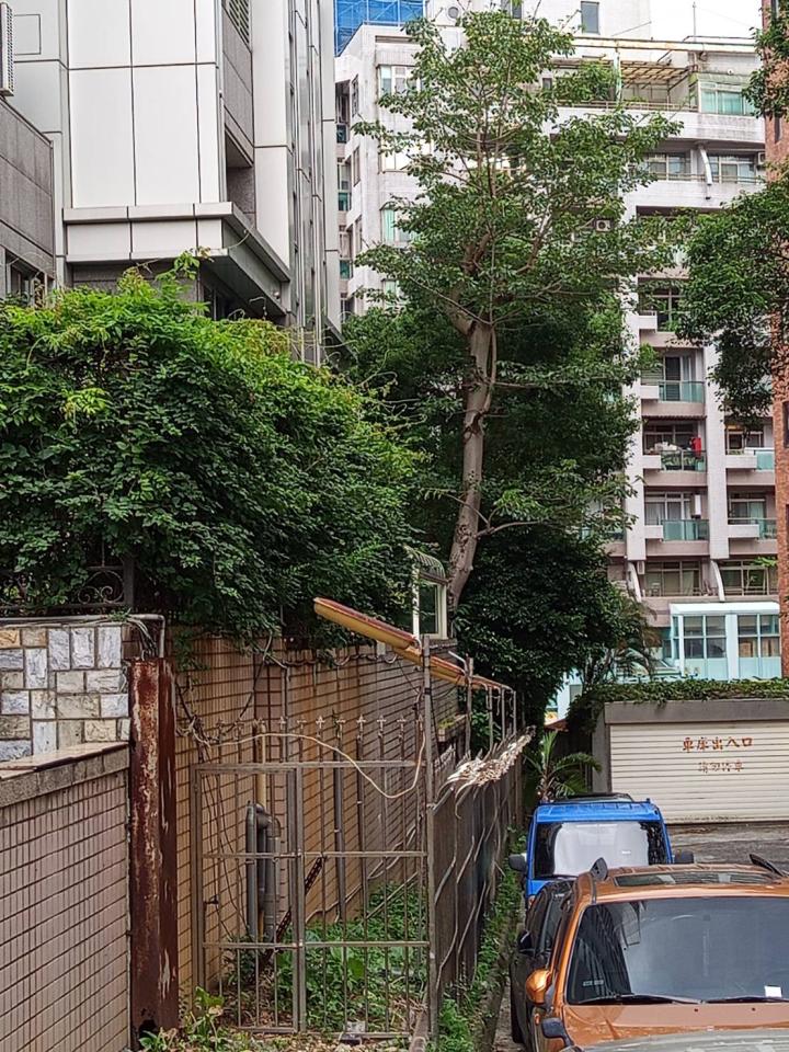 園藝維護案件圖片 園藝維護案件圖片