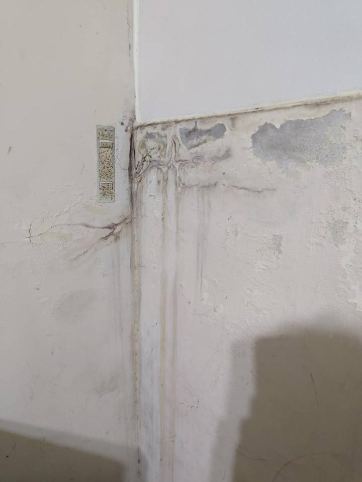屋頂防水案件圖片