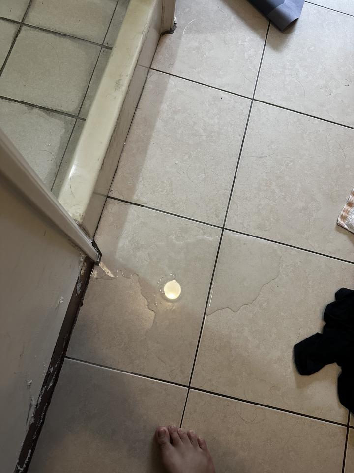 抓漏案件圖片