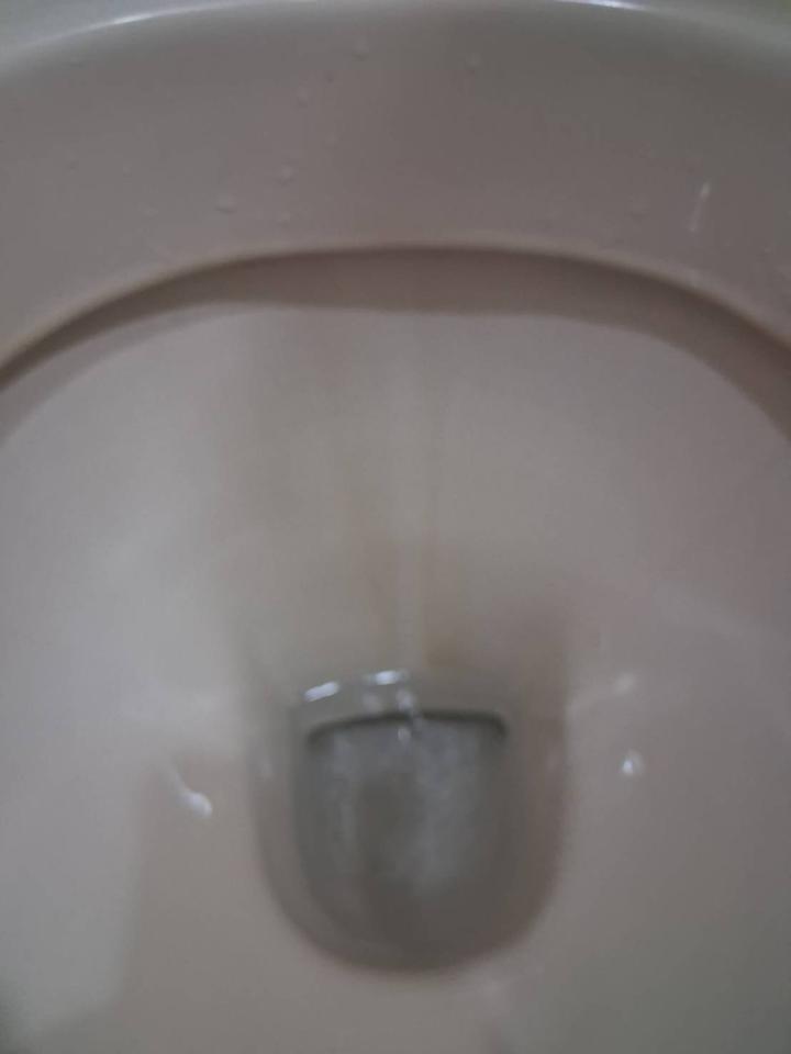 馬桶裝修案件圖片