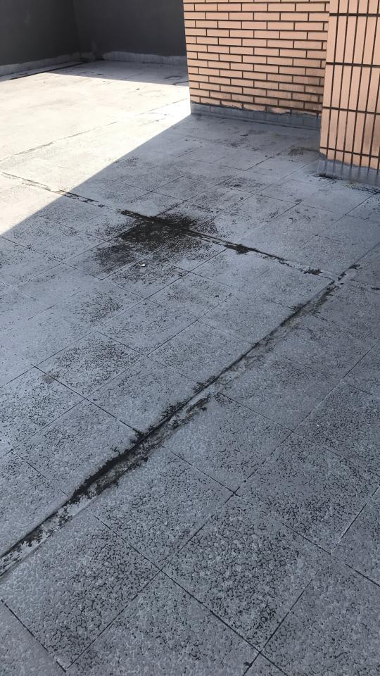油漆工程案件圖片