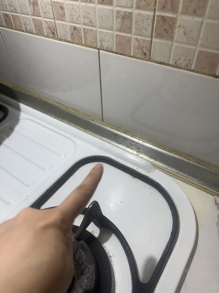 廚房清潔案件圖片