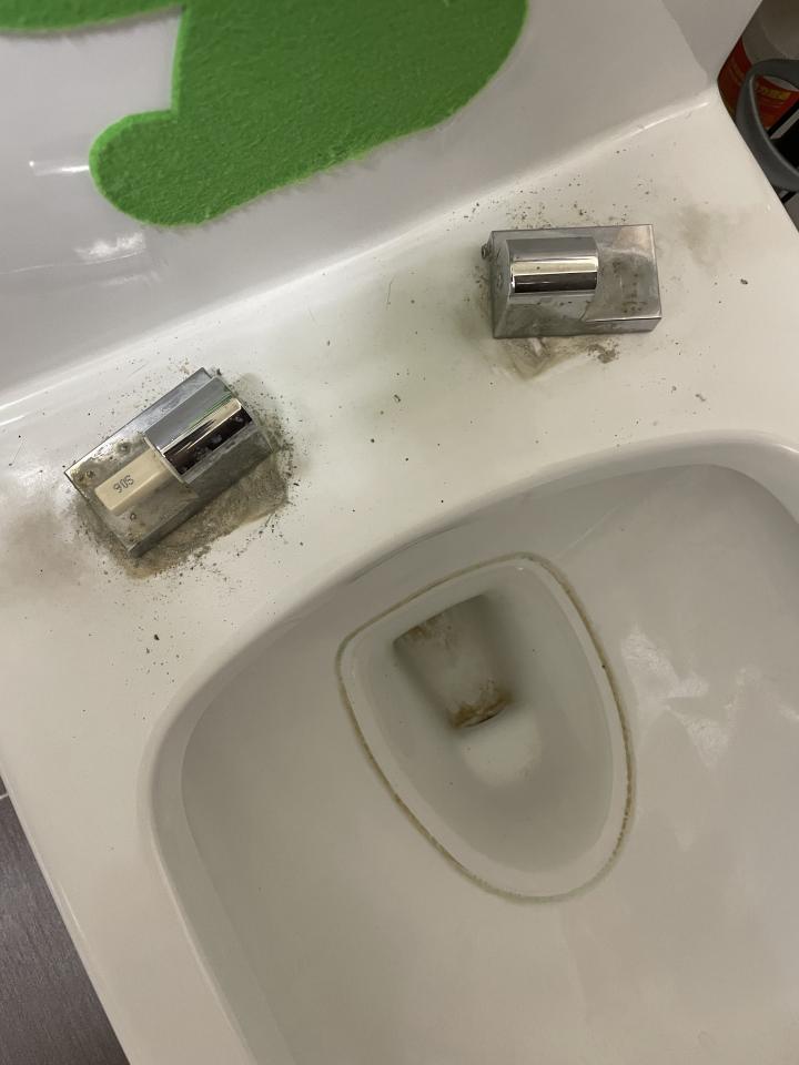 馬桶裝修案件圖片