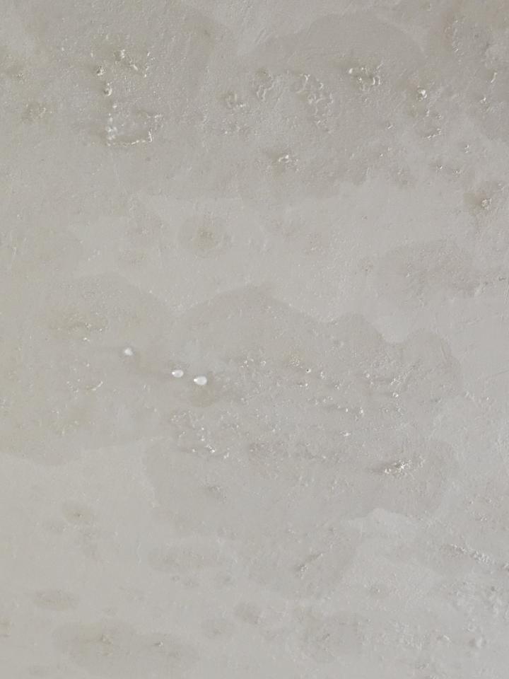 抓漏案件圖片