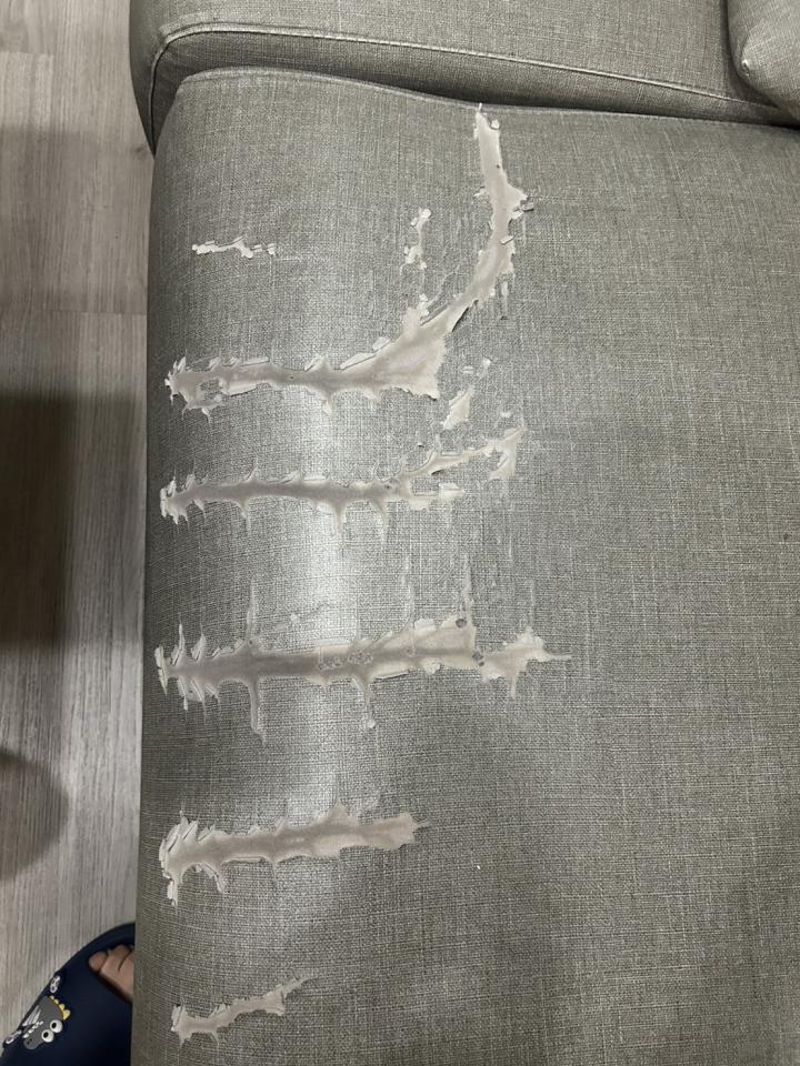 沙發修理案件圖片 沙發修理案件圖片