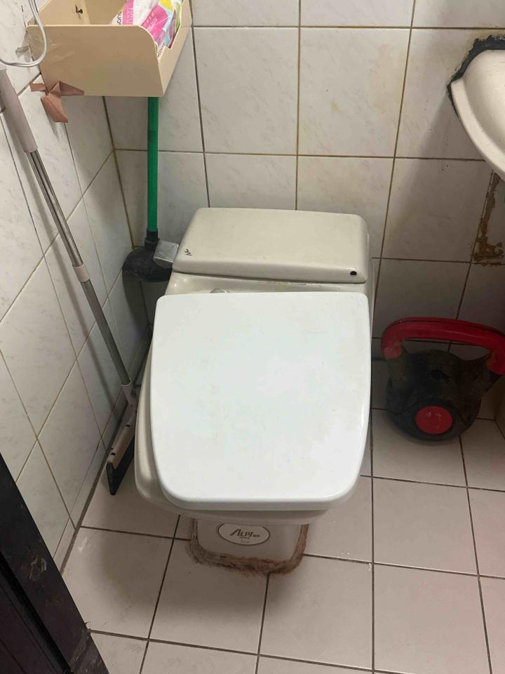 馬桶裝修案件圖片