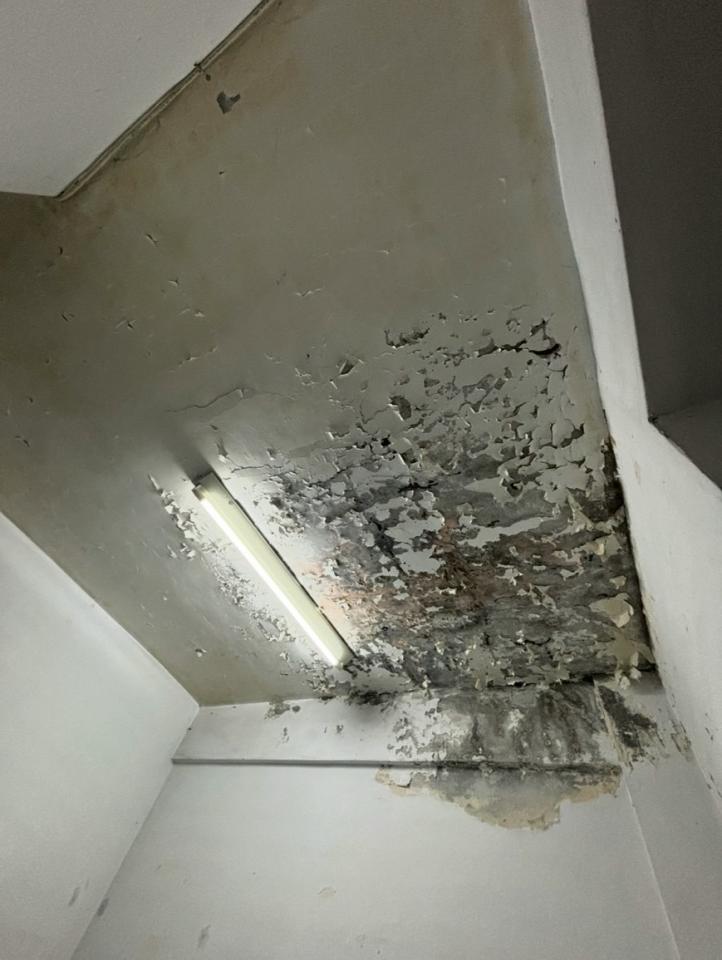 漏水處理案件圖片