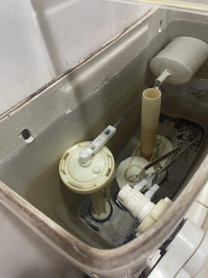 馬桶裝修案件圖片