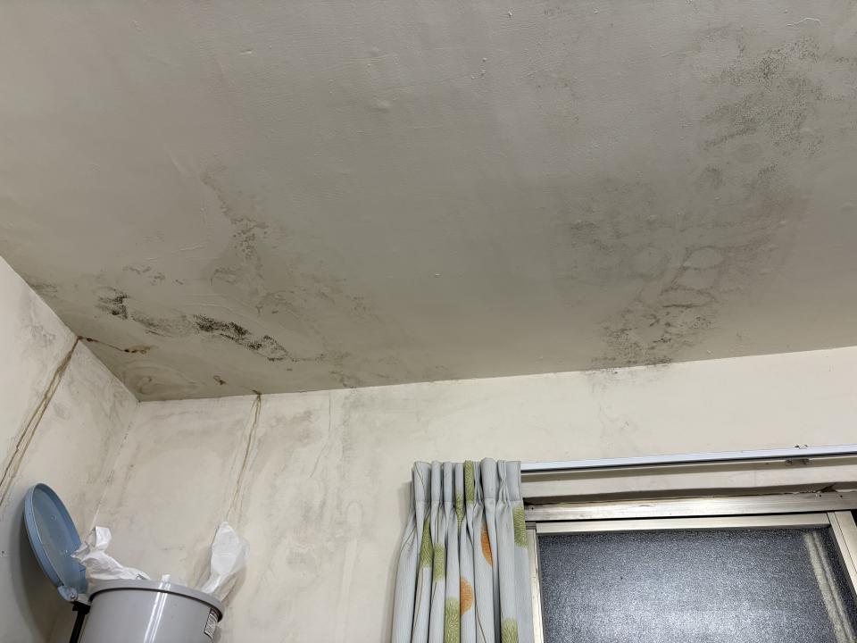 抓漏案件圖片