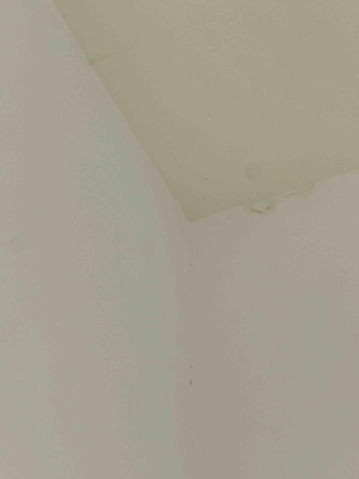 油漆工程案件圖片