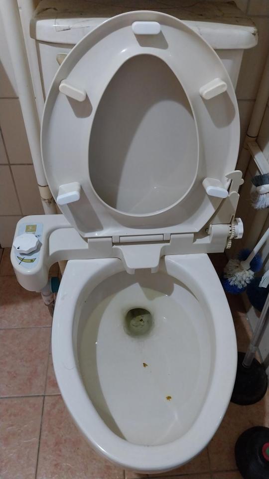 馬桶裝修案件圖片