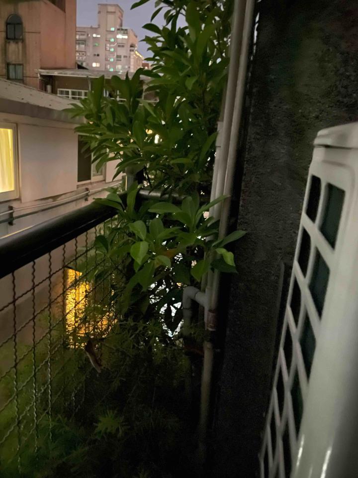 植物診療師案件圖片