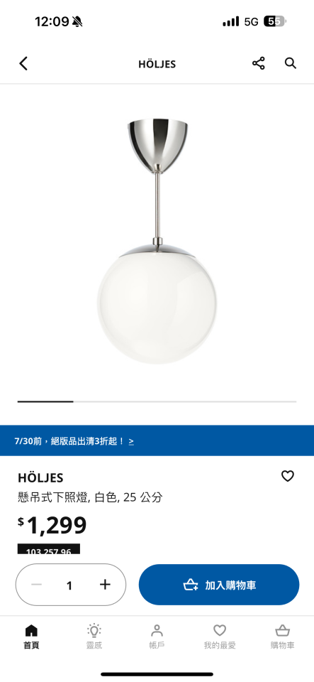 燈具安裝案件圖片