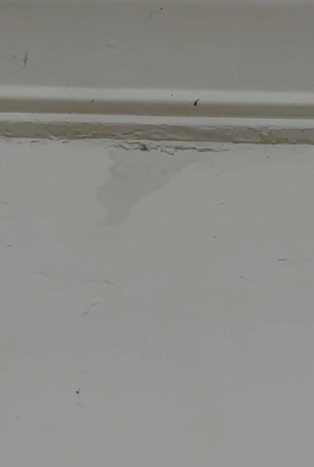 抓漏案件圖片
