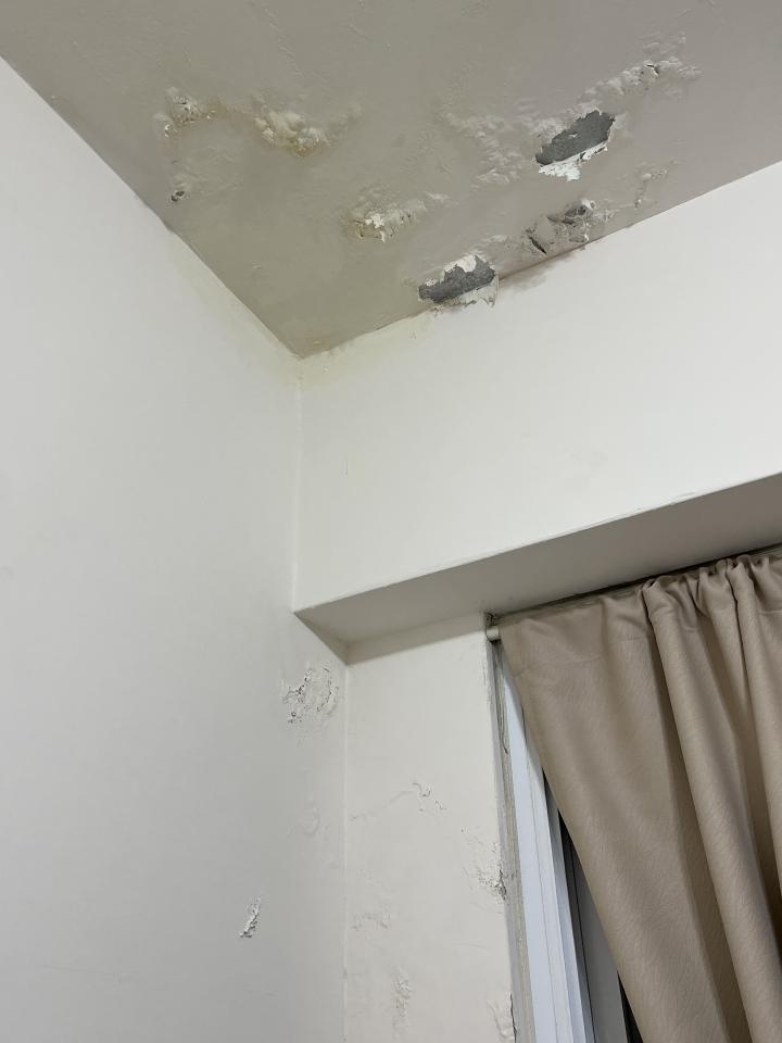 壁癌處理案件圖片