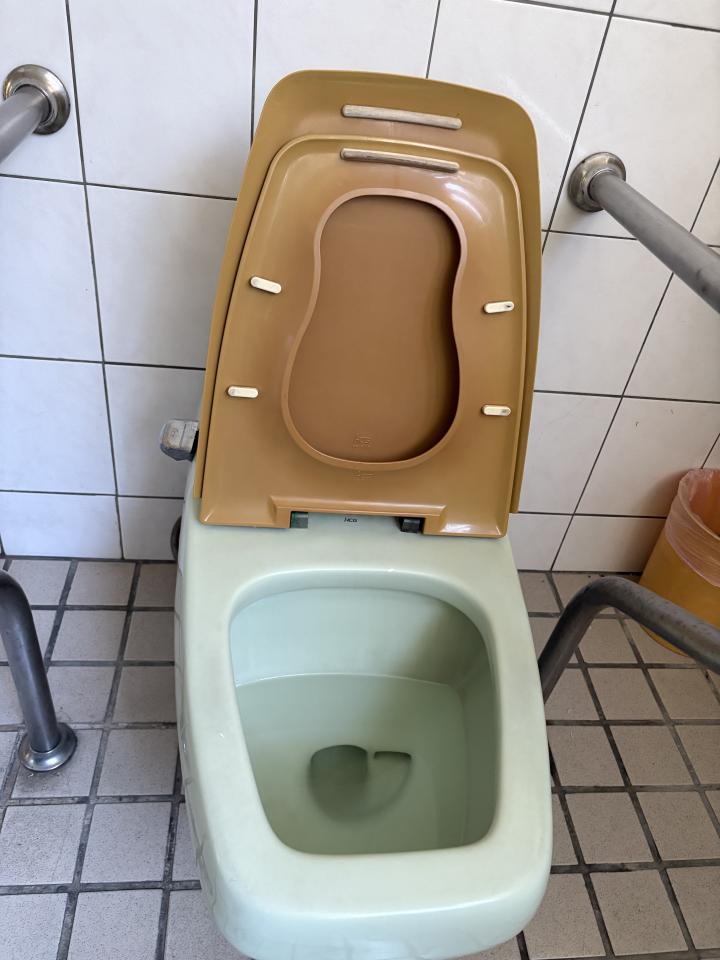 馬桶裝修案件圖片
