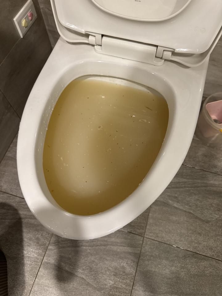 馬桶裝修案件圖片