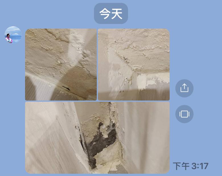 抓漏案件圖片