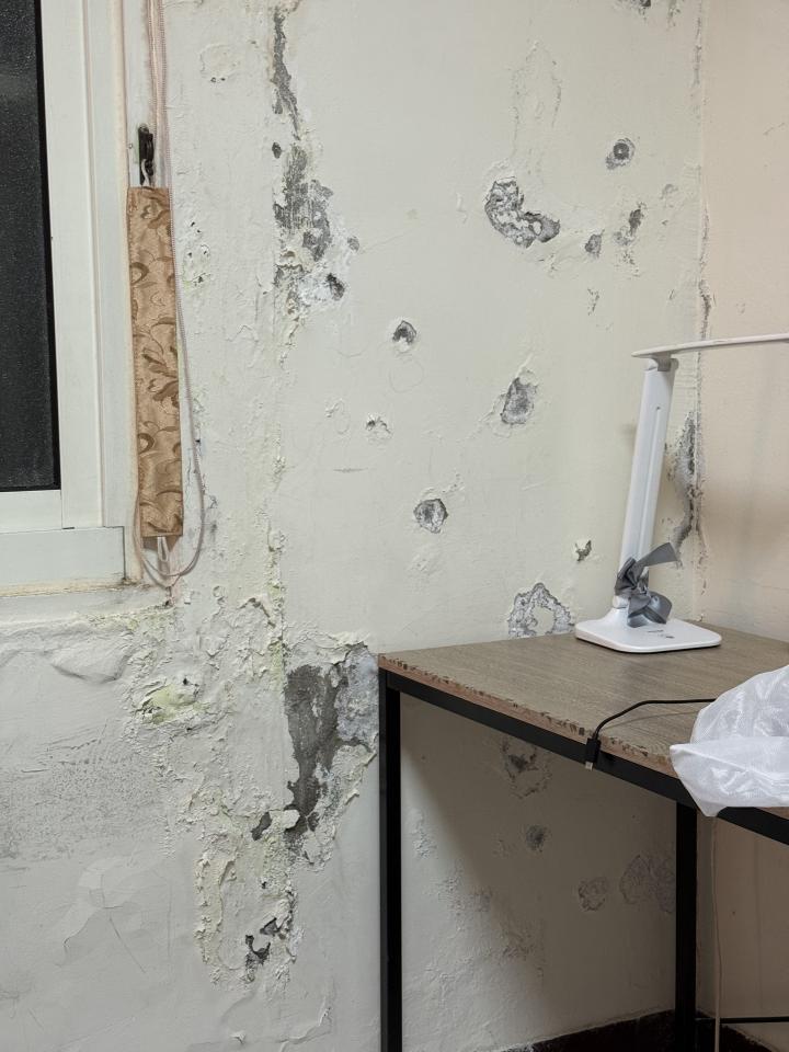 壁癌處理案件圖片