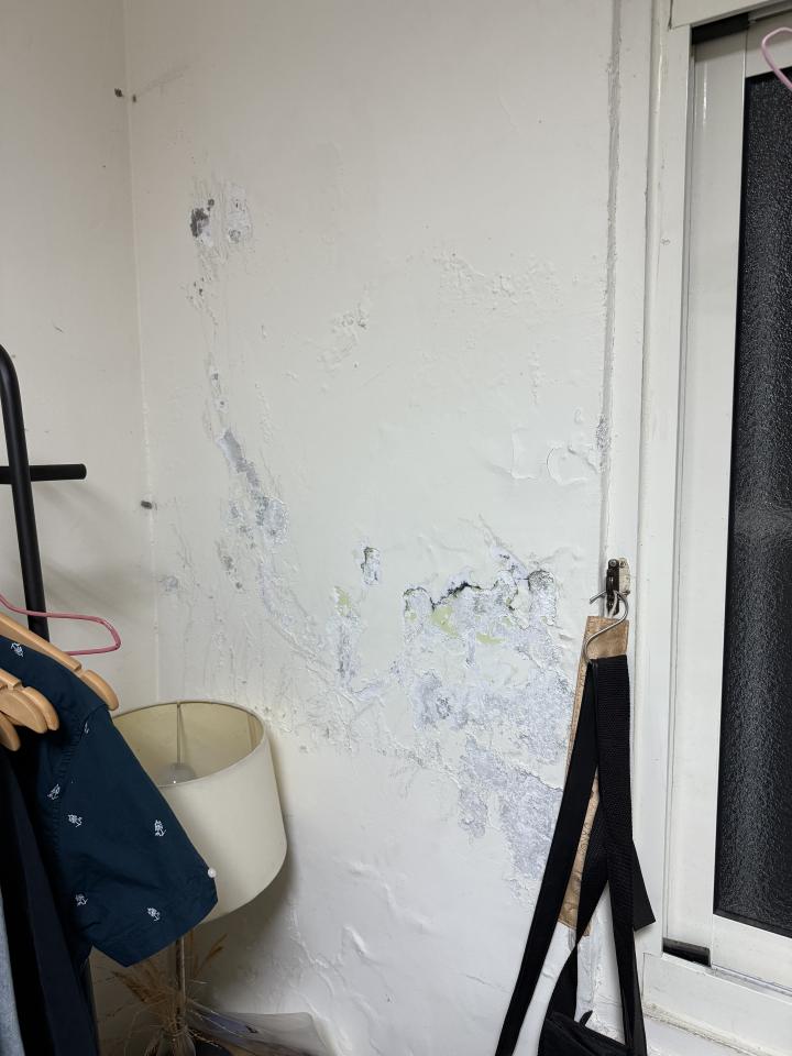 壁癌處理案件圖片