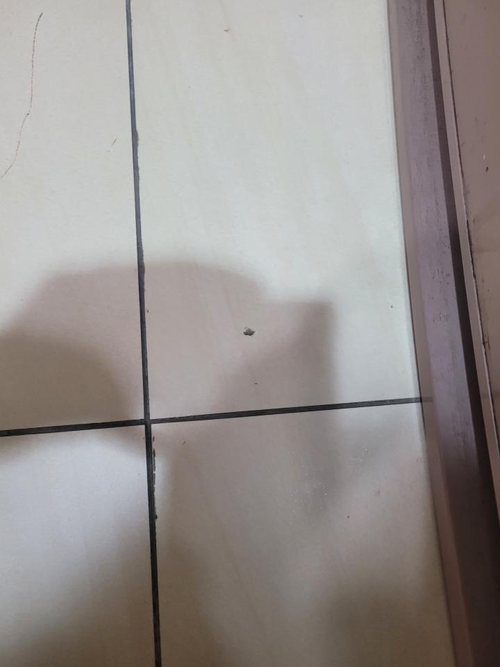 磁磚修補案件圖片 磁磚修補案件圖片