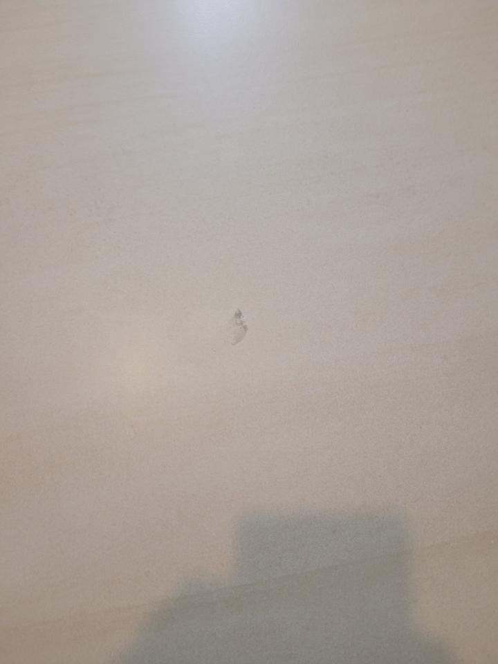 磁磚修補案件圖片 磁磚修補案件圖片