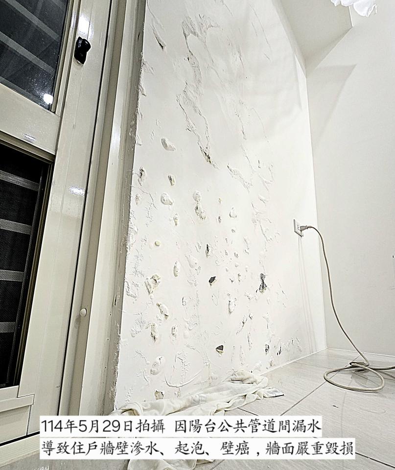 壁癌處理案件圖片