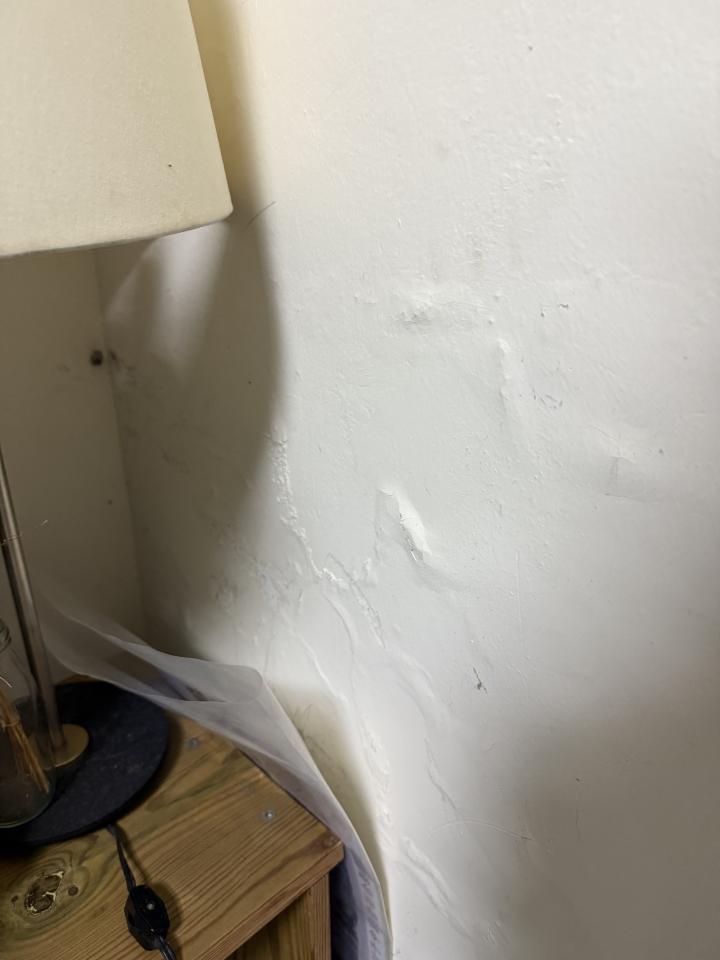 壁癌處理案件圖片