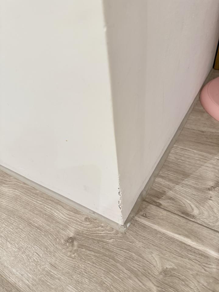 油漆工程案件圖片