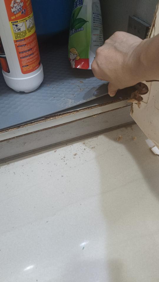 漏水鑑定案件圖片