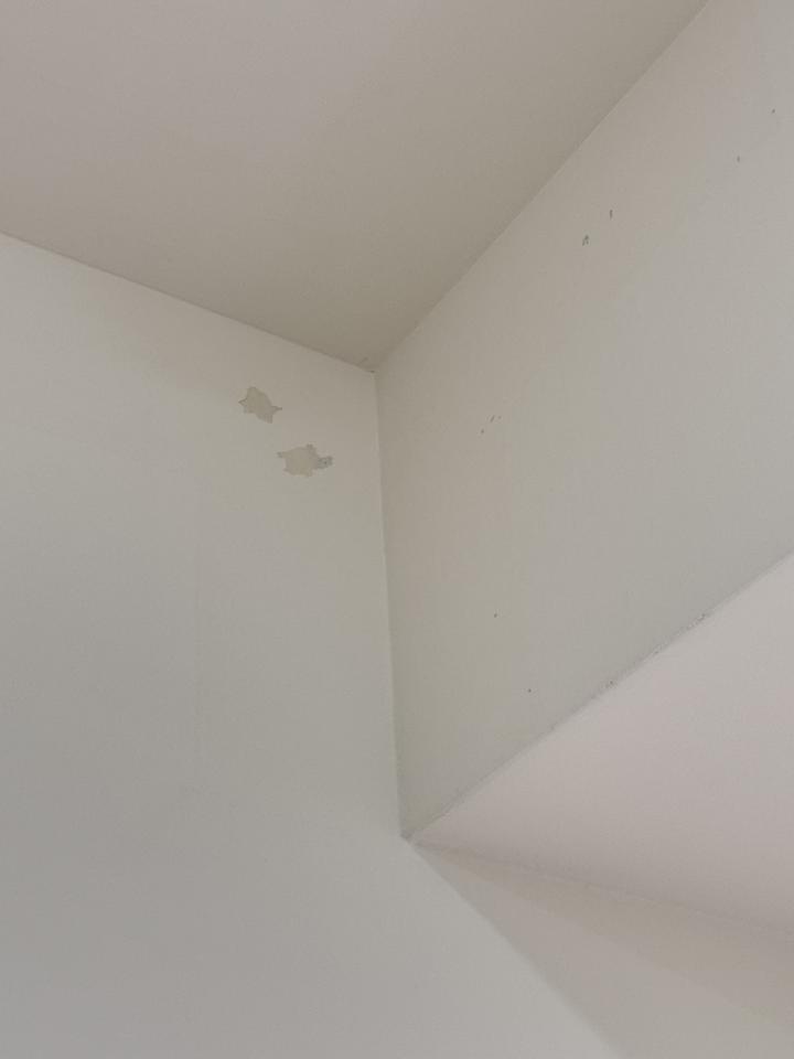 油漆工程案件圖片