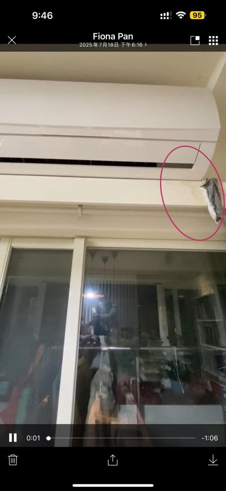 抓漏案件圖片 抓漏案件圖片
